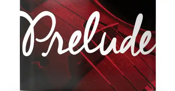 Kedvezményes ár D'Addario Prelude hegedű D húr 4/4-es Medium